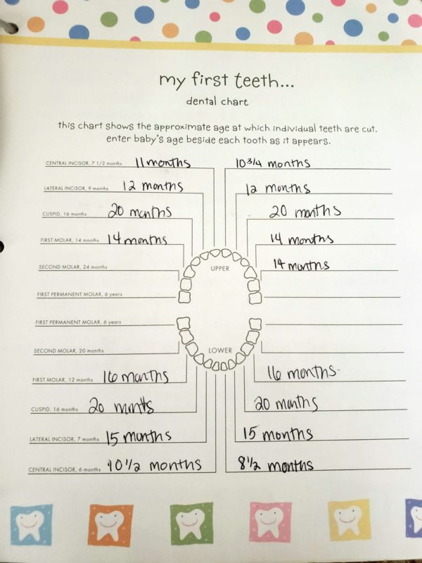 Gianna's Tooth Chart