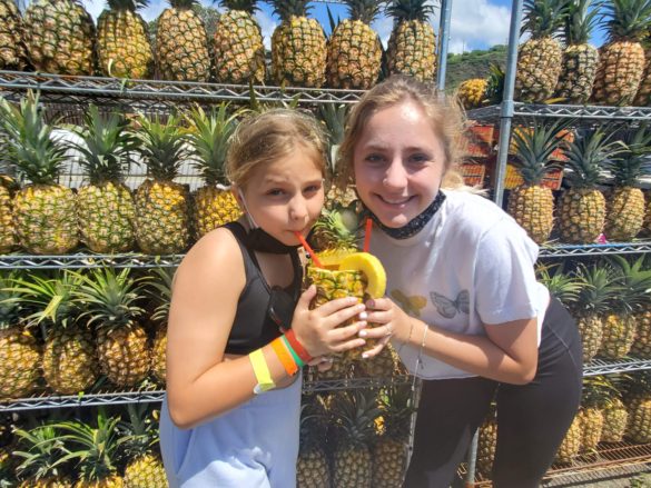 Sipping on some pineapple at the base of Diamond Head Crater.