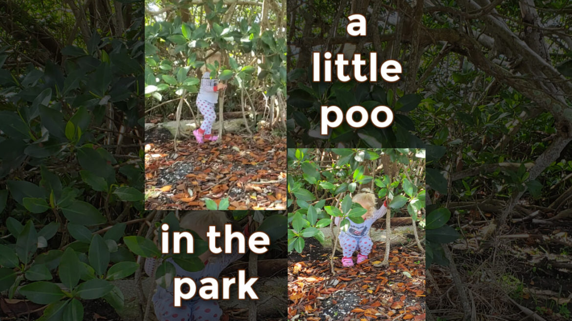 a little poo in the park