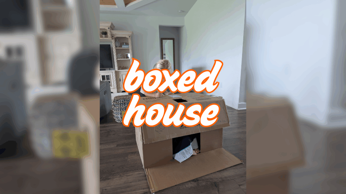 Child playing inside a large cardboard box turned into a playhouse, decorated with drawings and a “No Boys Allowed” sign.